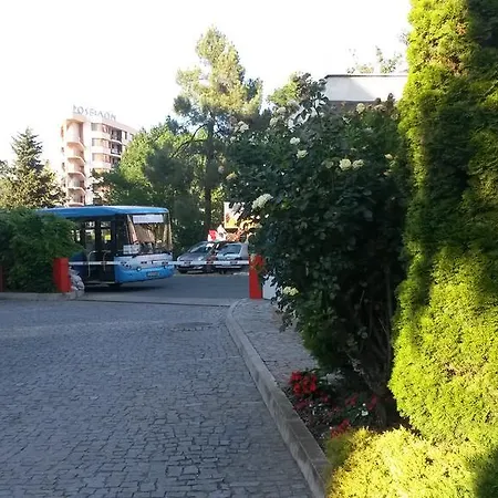 Elit 1